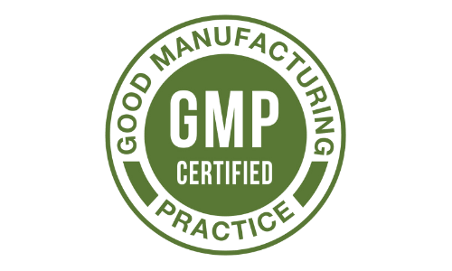 vision-20 GMP Certified